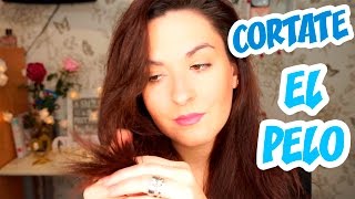 Como cortar el pelo en capas tú misma (sanear las puntas) || Meliup