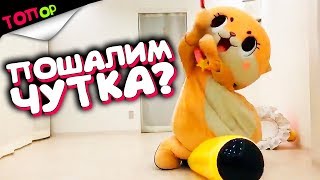 BEST COUB #005 - ЛУЧШИЕ ПРИКОЛЫ НЕДЕЛИ [ТОПор]