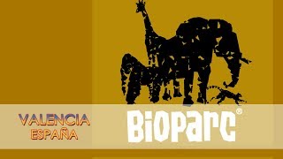 Экскурсия по Валенсии. Биопарк