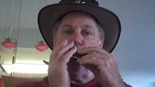 Harmonica--diatonic versus chromatic