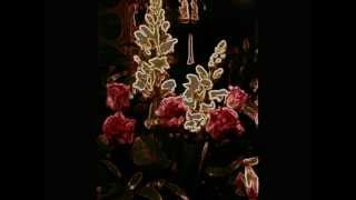 Tapio Rautavaara  -  Linnunrata