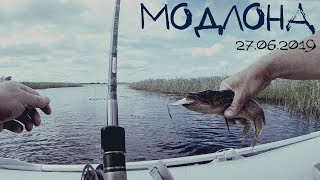Рыбалка на реке Модлона 27.06.2019. Badger Airline 390. Aiko Baltazar-III. Нельма..