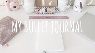MY 2017 BULLET JOURNAL FLIP-THROUGH