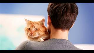 Second Date Update PODCAST: Missing Cat Missing Guy