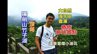 [台北花季旅遊景點] 帶你走進陽明山竹子湖夢幻景點頂湖，讓雲瀑下的海芋田遠眺冒煙的小油坑，絕美拍照地點！(下) - 頂湖段