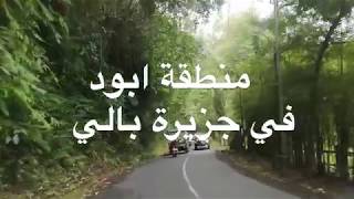 جولة في منطقة ابود ب جزيرة بالي ,اندونيسيا UBUD BALI INDONESIA
