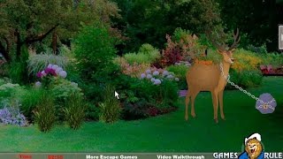 Forest Garden Deer Escape walkthrough Games2Rule.