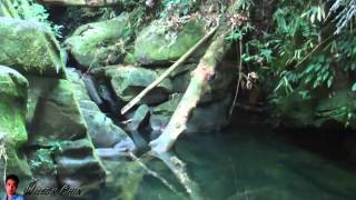 Batu Kawa, Singai, and Bau Expedition - Borneo, Kuching, Sarawak