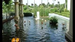 GRAND BAVARO- REP. DOMINICANA