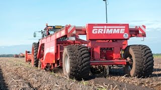GRIMME RL 400 | windrower for potatoes