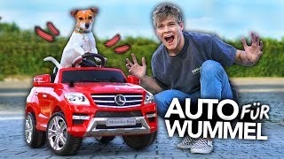 ICH KAUFE MEINEM HUND EIN AUTO | Joey's Jungle