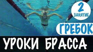 КАЖДЫЙ МОЖЕТ НАУЧИТЬСЯ ДЕЛАТЬ ГРЕБОК В БРАССЕ