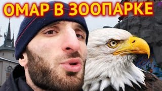 Омар в зоопарке // Омар в большом городе
