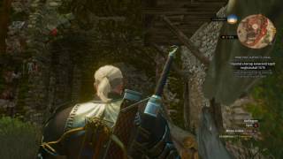 The Witcher 3 végigjátszás 207  rész Lovagi feladványok III