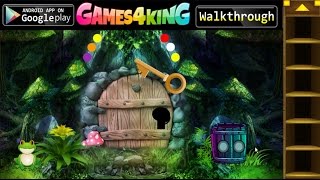 G4K Secret Cave House Escape walkthrough Games4King.