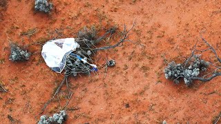 Hayabusa2 capsule returns to Earth