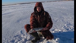Первая рыбалка в 2018 году. Ловля щуки на жерлицы.