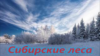 Сибирские леса, одиночный поход, ночь в палатке зимой в 30 градусов, рыбалка на налима