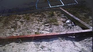 Как сделать основу из бруса. Для теплицы 3х4 поликарбонат