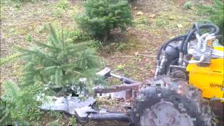 Prototype tree shear