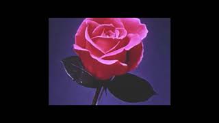[100%FREE] Lofi xxxtentacion // lil peep Type Beat "Rose" (Trap/Rap Instrumental)