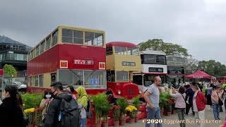 【豬和妖后賀年】九龍巴士63R線 大埔墟站?林村許願樹 Hong Kong Bus KMB 63R Tai Po Market Station?Lam Tsuen Wishing Tree