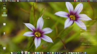 Linux Mint Cinnamon 18  64bit сборка от Алексея