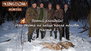 Заячий клондайк! Или охота на зайца после поновы. Часть 2.
