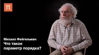Теория фазовых переходов — Михаил Фейгельман