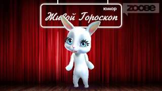 Смешная Зайка Zoobe :) Я поняла почему толстею!