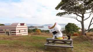 「むすび丸の【伊達な旅】日記」猫の島田代島編