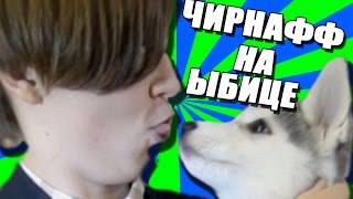 ЧИРНАФФ НА ЫБИЦЕ