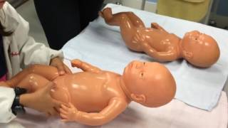 Maternidade e Pediatria Kidzania - Como cuidar do bebe Recém-Nascido em suas Primeiras Semanas