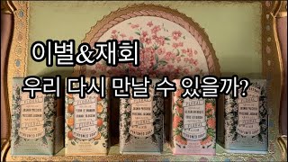 2월의재회운 우리 다시 만날 수 있을까? (이별의 고통에서 벗어나는 법 /조언)