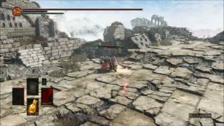 DS3 - Rapier Champion vs Drakeblood Knight and both vs Havel Knight