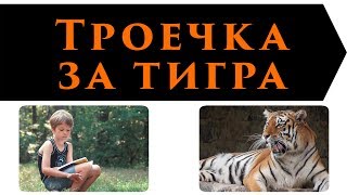 Троечка за тигра | Леонид Каминский | Рассказы для детей