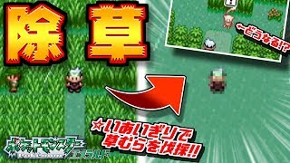 ホウエン地方の草むら全部切ってみた ～いあいぎり～【ポケモン・エメラルド/ルビー/サファイア】