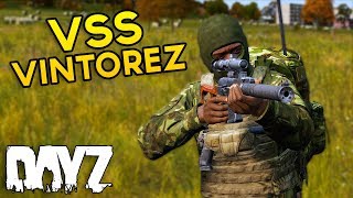 The VSS Vintorez - DayZ Standalone
