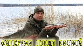 Ловля на фидер весной. Прикормка для холодной воды.