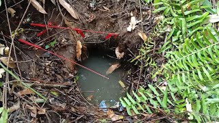 MANCING IKAN LEMBAT PENGHUNI LUBANG TUA..