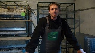 Клетка для перепелов / Своими руками 1# // Жизнь в деревне