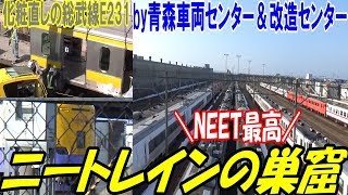 青森の車両基地がニートレイン化 485系 キハ40系 651系 余生を謳歌