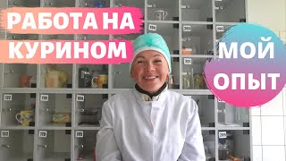 Работа в Польше: работник куриного завода. Отзыв. #работавПольше #твояработа #куриныйзавод