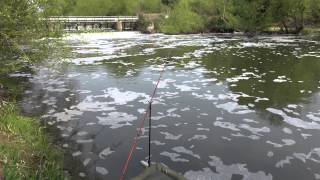 KINGS WEIR FISHERY, WORMLEY, BROXBOURNE, HERTFORDSHIRE