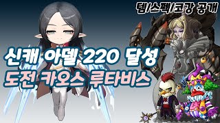 신캐 아델 220달성! 카루타 도전! 스펙/템/코강까지 공개해봅니다 [와라인메이플]