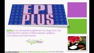 Treating Seizures and Epilepsy Naturally in Dogs and Cats