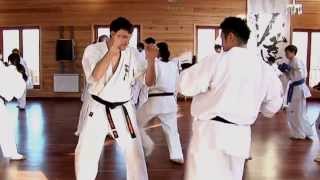 Kenta Mori (森健太) - feint mawashi geri (round kick)