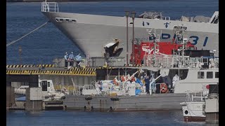 クルーズ船１０人がウイルス感染　３人が日本人、医療機関に搬送