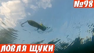 ЛОВЛЯ ЩУКИ В ТРАВЕ НА ПОППЕР В АВГУСТЕ