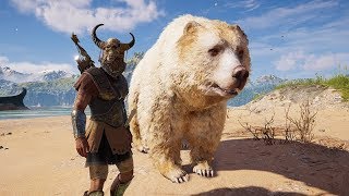 Caçando o LEÃO de NEMEIA com o URSO SALGADO - Assassin's Creed Odyssey